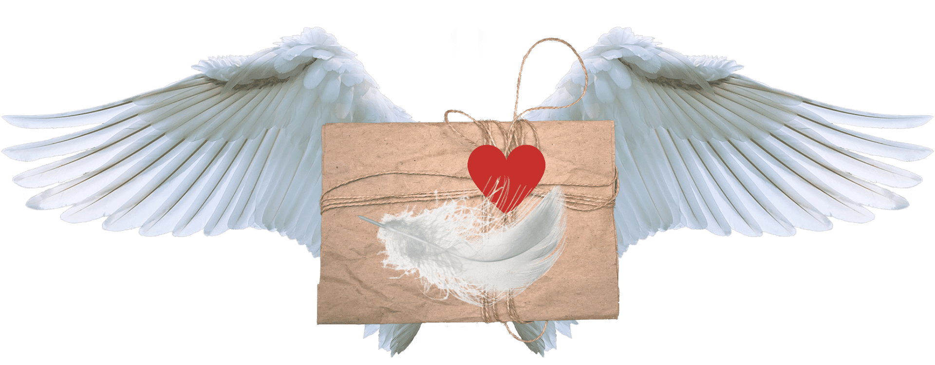 Angel Hero