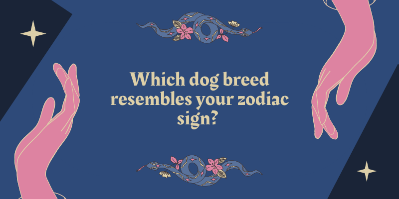 Which dog breed resembles your zodiac sign?